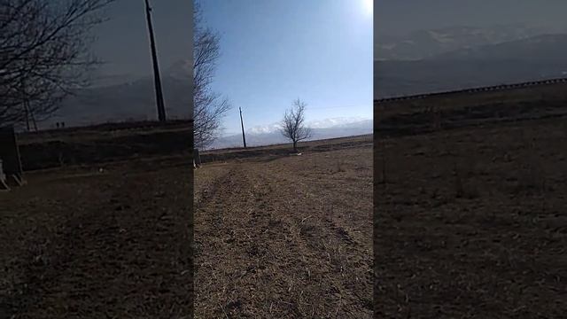 картеч ди 200 метирге атып тийгизуу чынбы же миф смотреть онлайн