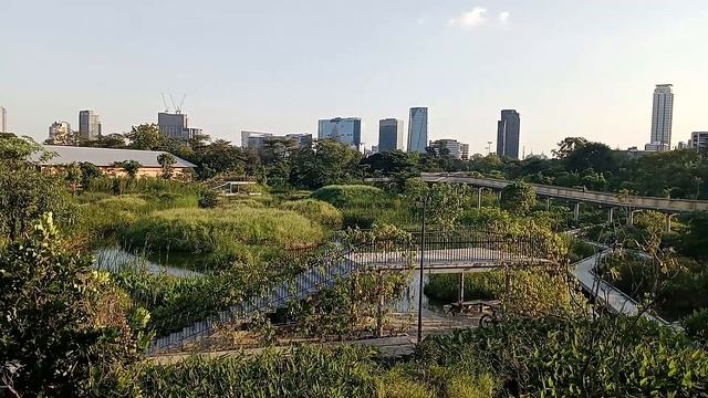 Прогулка по парку Бенжакитти (Benchakitti Park) в Бангкоке