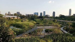 Прогулка по парку Бенжакитти (Benchakitti Park) в Бангкоке