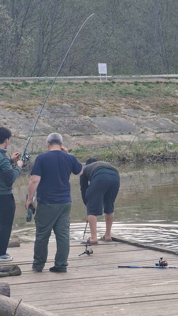 Поимка карпа смотреть онлайн
