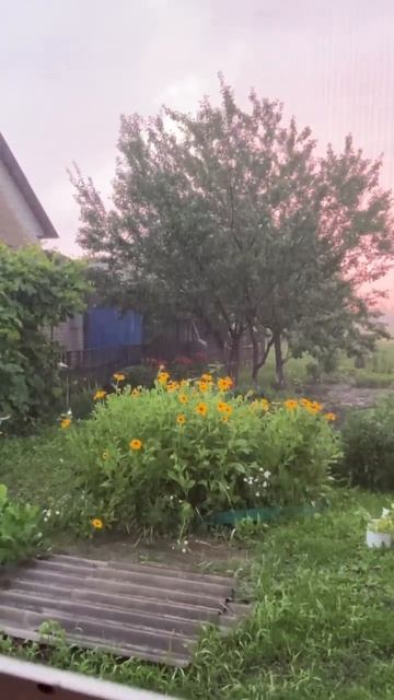 Слив дождя с крыши Пушилиной выведен на участок сосед?