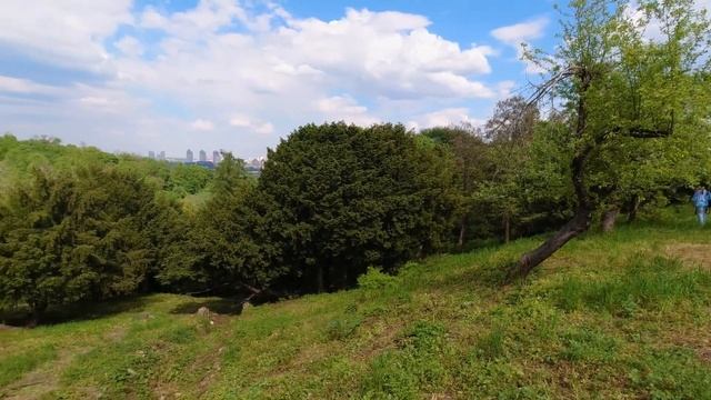 Природа в парке Гришка в Киеве 🇺🇦