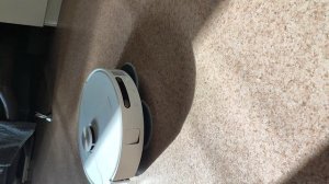 Робот-пылесос и Мия