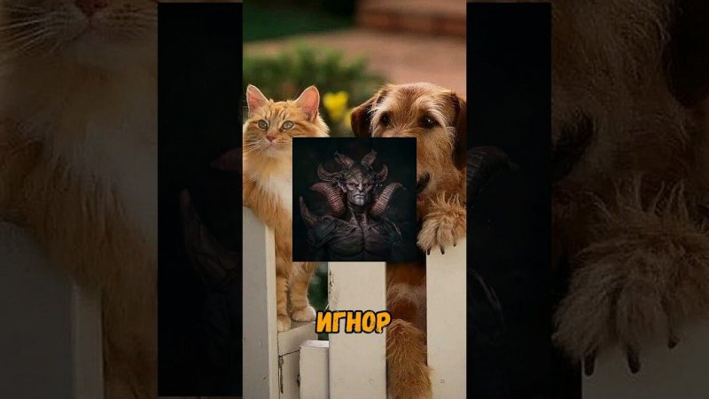 Иисус или Дьявол? #рек #рекомендации #кот #игнор #котики #выбери #иисус #а4 #shortvideo
