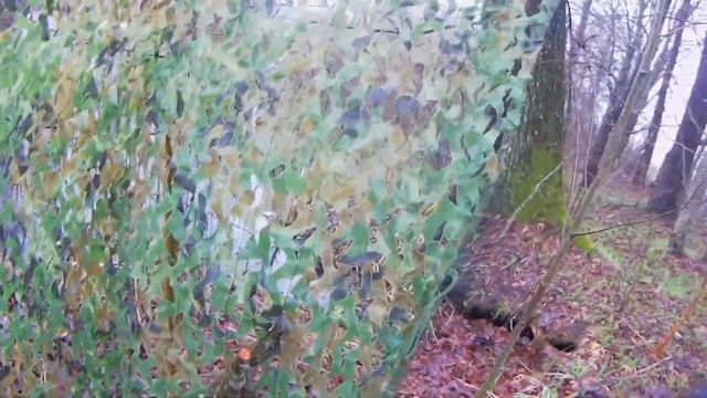 Охота на СЕЛЕЗНЯ ВЕСНОЙ!!Первый селезень!Hunt for DRAKE IN SPRING.