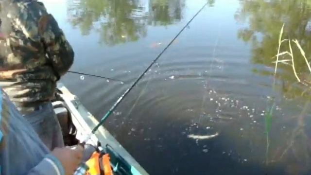 Активная рыбалка на волге туризм , отдых , г Саратов щука, жерех, прогресс -2 смотреть онлайн