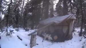 80 дней в тайге. Пушной промысел. Видеодневник Часть 12