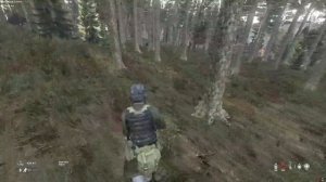 Начало вайпа на ванильном сервере - DayZ Midnight