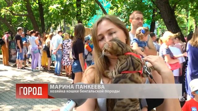 Выпуск программы "Город" от 26.08.19 смотреть онлайн