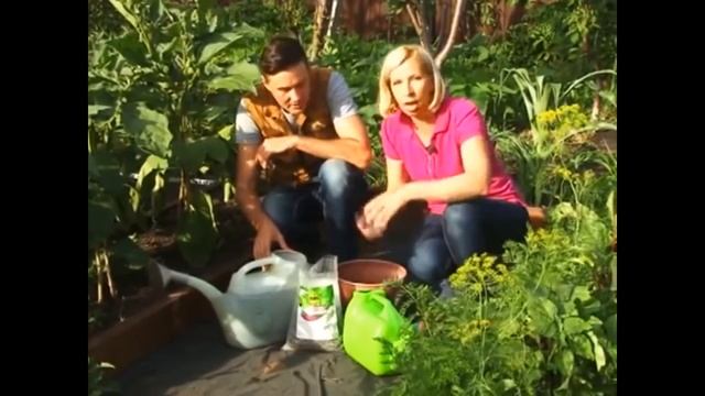 САПРОПЕЛЬ смотреть онлайн