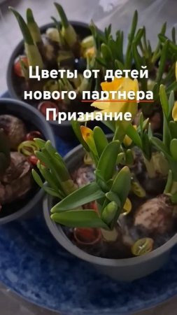 Неожиданно.. Приятно.. Просто так.. Дети нового партнера подарили цветы. Вот это счастье!# cadeau