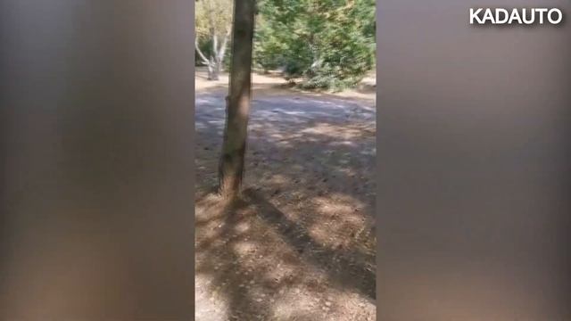 После отдыха на природе. Калининградская область. смотреть онлайн