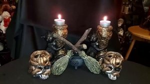 ПОСАДИТЬ БЕДУ В ГОРШОК