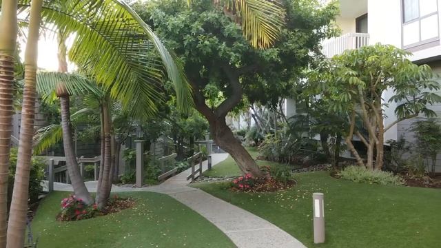 San Diego CA ,Сан Диего Калефорния . смотреть онлайн