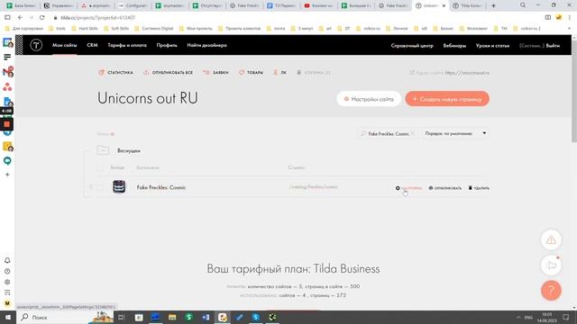 Перенос описания с товаров на страницы, сайт на Tilda смотреть онлайн