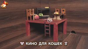 Видео для кошек про крысок развлекать питомцев 🐭🐀😂 (56)