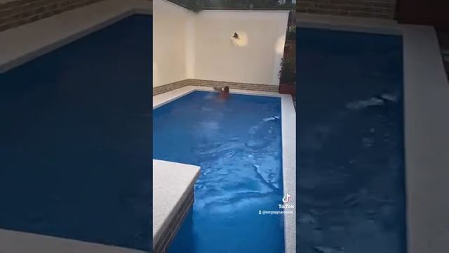 Геленджик Ницца смотреть онлайн