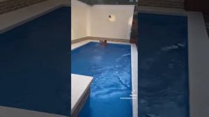 Геленджик Ницца