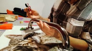 Мой фингерборд стафф/ My fingerboard stuff (09.12.2020)