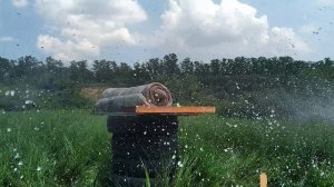 Экспансивные пули Тулламо, БПЗ, Калашников - стреляем, сравниваем, анализируем.