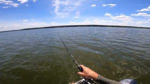 Ловля окуня летом с лодки! || Рыбалка на Вилейском водохранилище