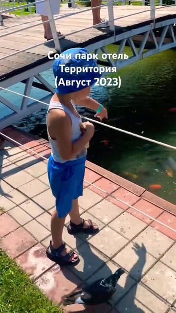 Сочи парк отель (август 2023) #shorts #shortvideo #адлер #обзоротеля #сочипаркотель