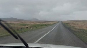 Дороги ВКО. Усть-Каменогорск-Аюда