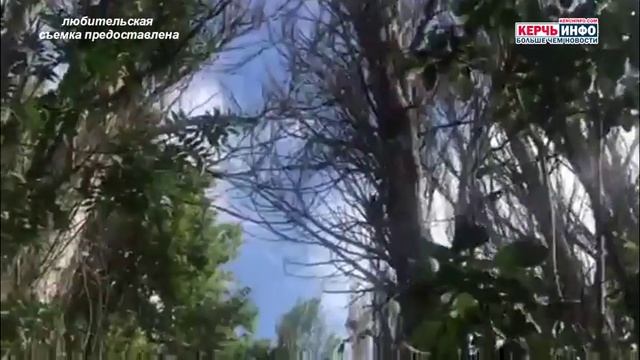 Болото и хоздвор в Аршинцево отравляет жителей района смотреть онлайн