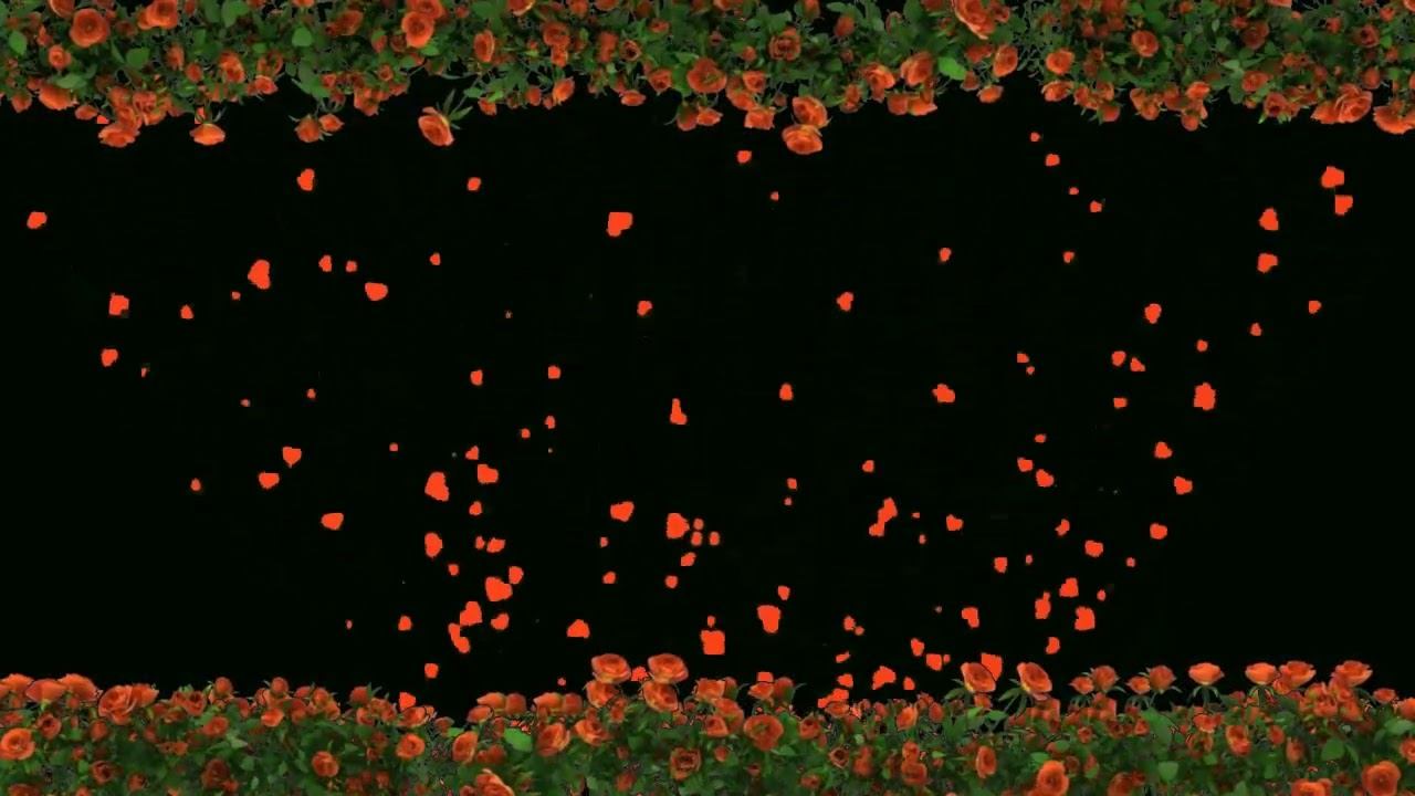 Футаж ХромакейФейерверк Красных СердечекФон Для ПоздравленийRed Hearts Green Screen Background смотреть онлайн