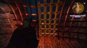 The Witcher 3 Wild Hunt Ведьмачьи Древности Улучшения Школы Кота 2 #54