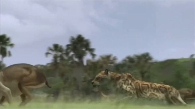 🎬 Эволюция: Смилодон - "саблезубый тигр" на охоте. смотреть онлайн