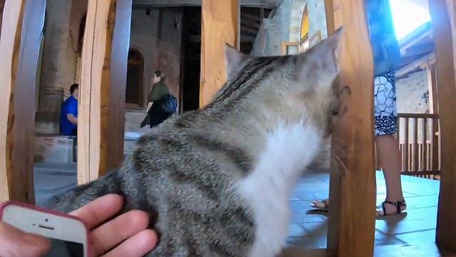 Greece summer travel summer 2018 Meteora Lefkada Відпочинок у Греції 1440p60 HD GoPro Hero6 смотреть онлайн