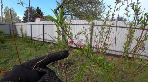 ВЛОГ : ГОТОВИМСЯ К  МАЙСКИМ ПРАЗДНИКАМ / НАВОДИМ ПОРЯДОК НА ДАЧЕ