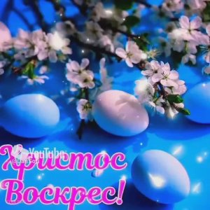 VID_20250423002356