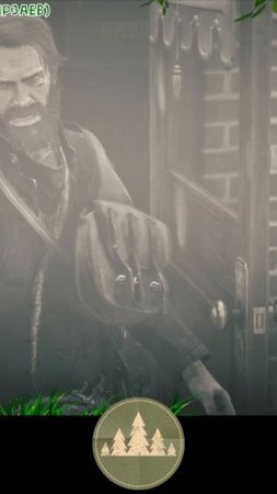Ролик - RDR2 (23042025 1)