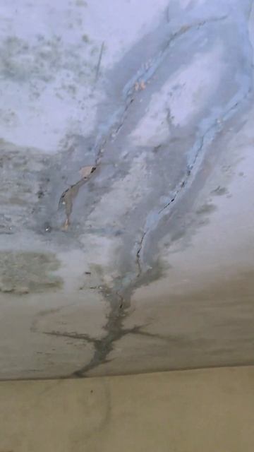 У нас крыша течётOur roof is leaking. приют дождь rain shelter