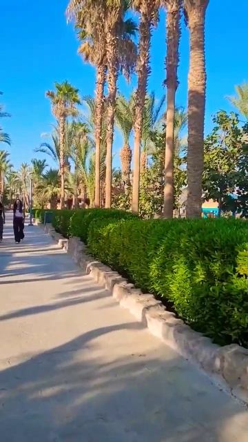 ШАРМ-ЭЛЬ-ШЕЙХ.🇪🇬 НААМА БЕЙ. #EGYPT #SHARMELSHEIKH #naamabay  #redsee #travel #see #beach #vibes