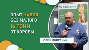 Как получить высокие надои молока от коровы | Опыт ООО КХ «Участие»