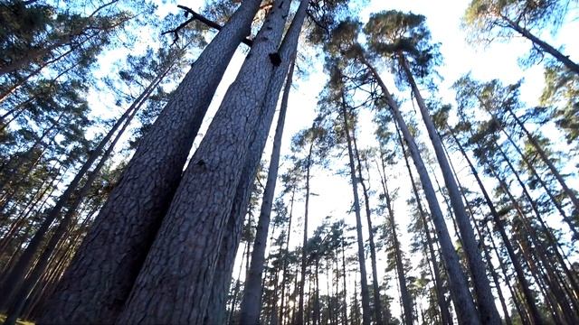 ПОПУЛЯРНОЕ МЕСТО ДЛЯ ПРОГУЛОК🌲🌿 МЕЖАПАРК / Lukjancevi Family