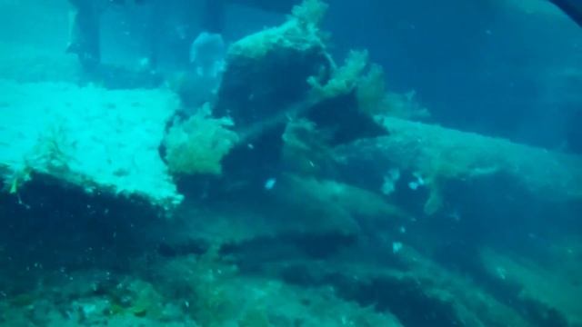 Дайвинг в Севастополе смотреть онлайн