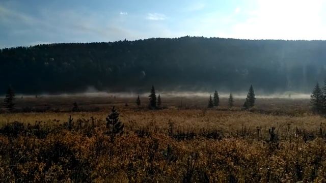 Таёжные лепёшки по-французски))) смотреть онлайн