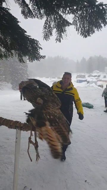 #Отдых Лагонаки! смотреть онлайн