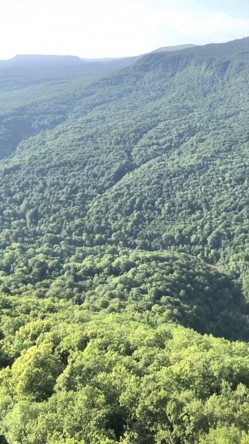 Орлиная полка п.Мезмай в долек сам посёлок. Внизу река курджипс.