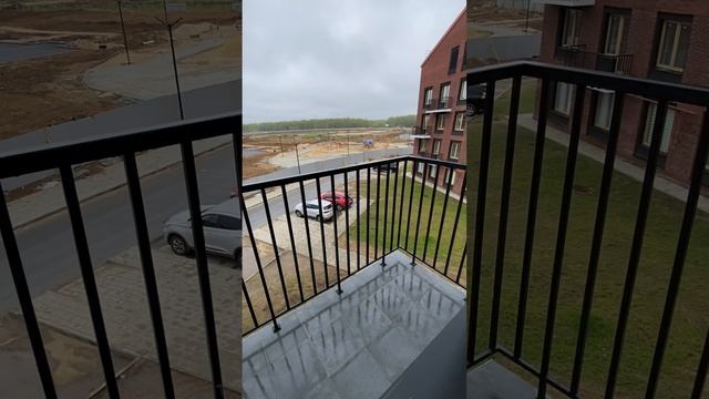 Новая жизнь обзор