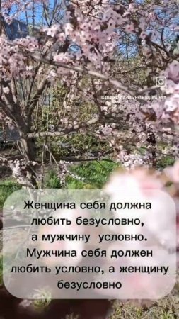 Мужчина и Женщина