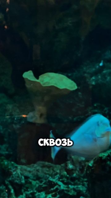 стих верните в моду любовь