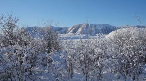 Полярный характер