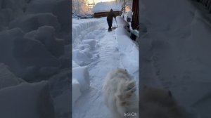 Приспособление для скидывания снега с крыши