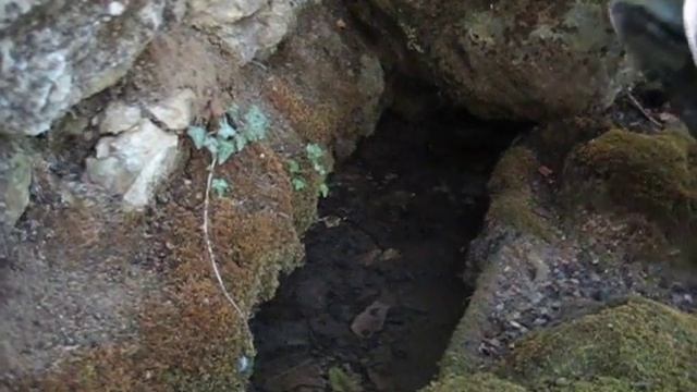 Родники горного Крыма 44 372372 смотреть онлайн