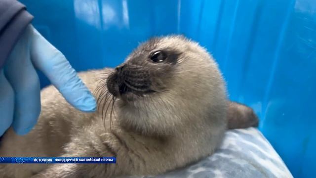 Новости 18 03 24 смотреть онлайн